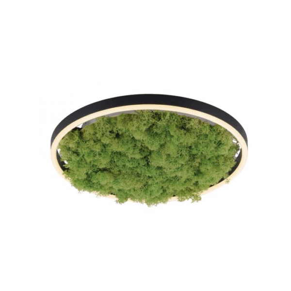 Plafond Green Ritus 20W Preto 3000K (15391-66)