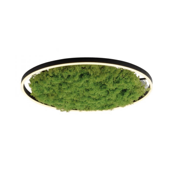 Plafond Green Ritus 28W Preto 3000K (15392-66)