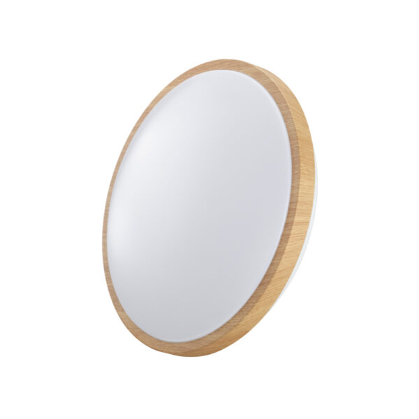 Plafon LED Redondo Saliente Madeira 18W IP20